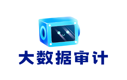 大数据审计